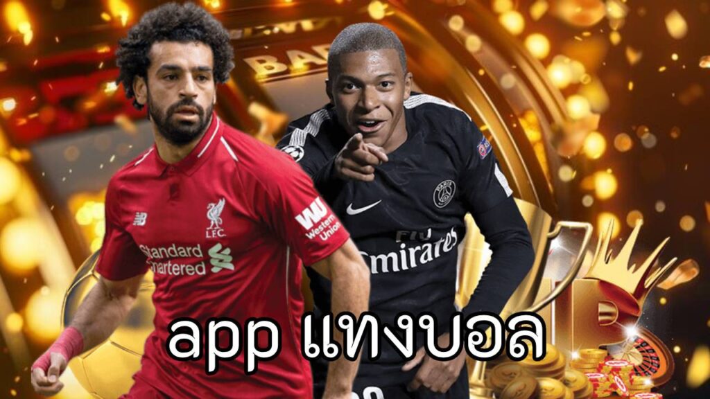 app แทงบอล